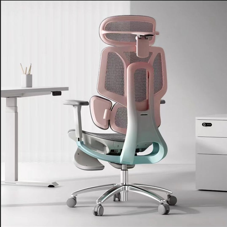 HBADA E3 Pro Plus Ergonomic Office Chair (cherry blossoms)