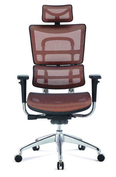 Szeeo Ergonomic Office Chair EI02
