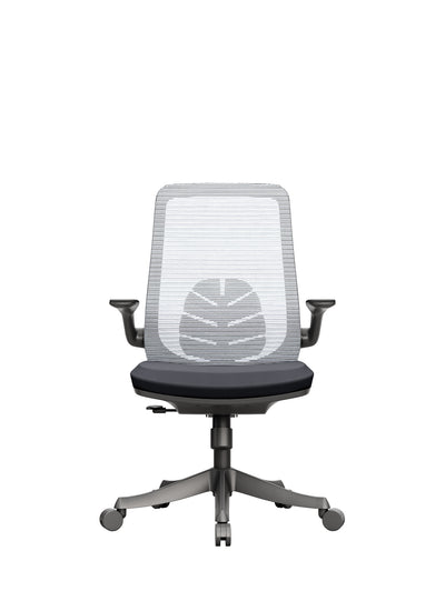 Protectwo Back Ergonomic Office Chair -B90