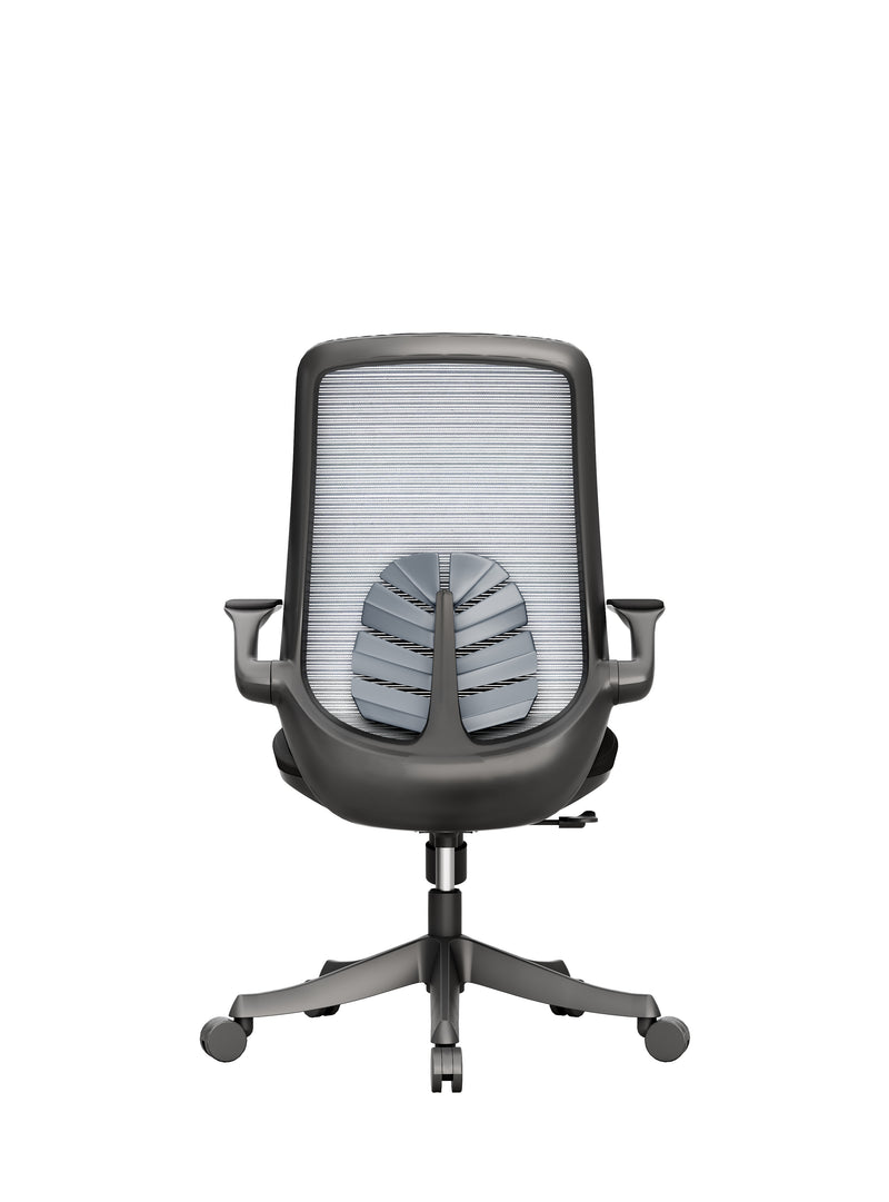 Protectwo Back Ergonomic Office Chair -B90