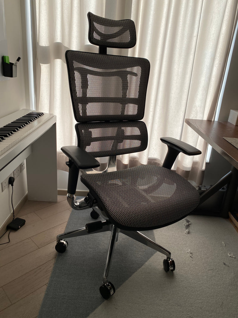 Szeeo Ergonomic Office Chair EI01