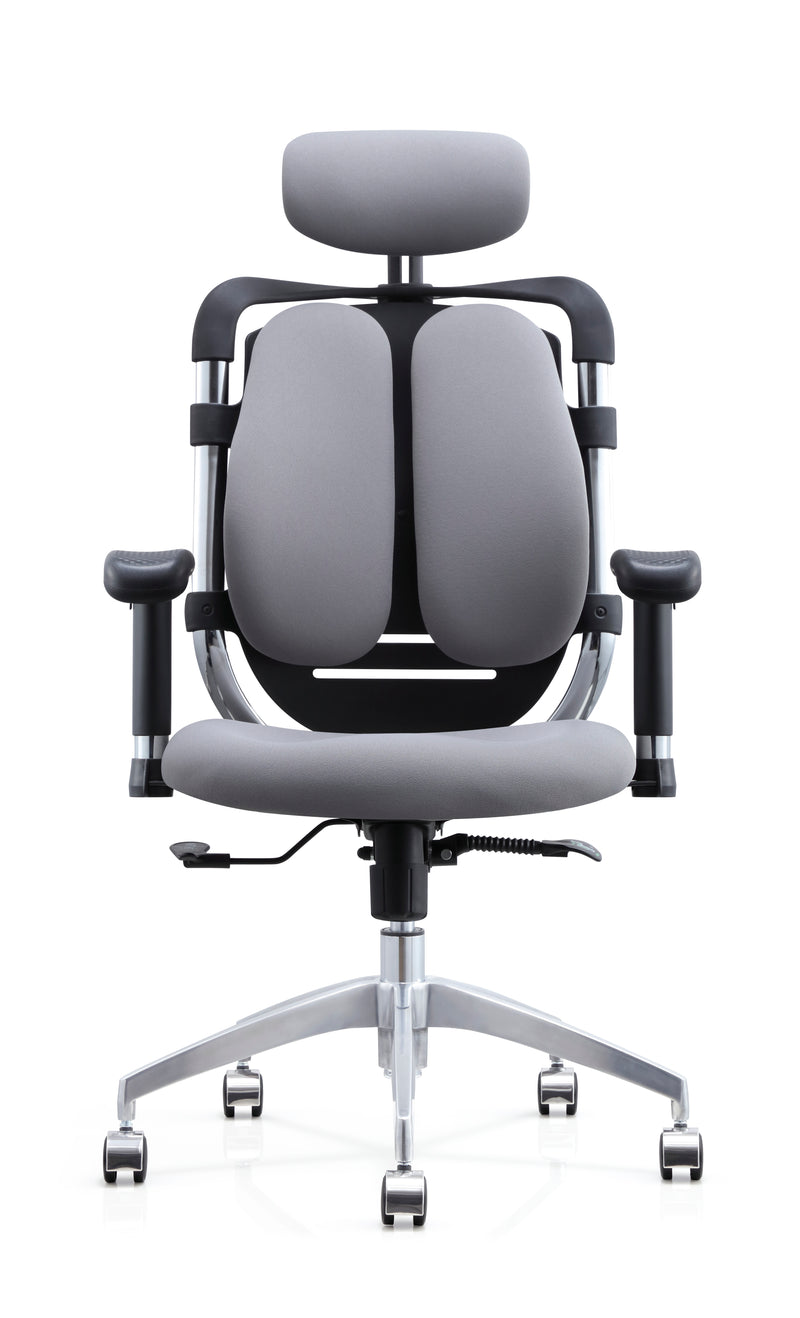 Protectwo Double Back Ergonomic Office Chair -PT01