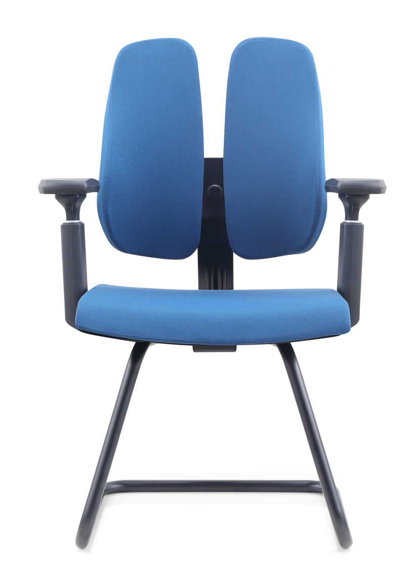Protectwo雙靠背人體工學辦公椅-PT02C