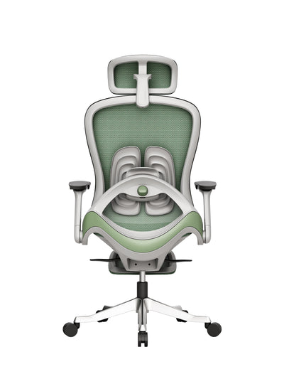 Protectwo Back Ergonomic Office Chair -A99