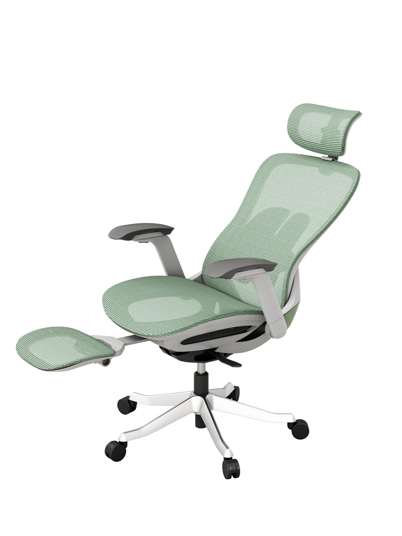 Protectwo Back Ergonomic Office Chair -A99
